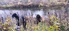 470e73c0-7dc8-4054-aeb0-a99cdac94229.jpg