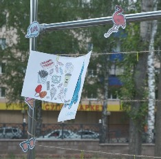 DSCF6905.JPG
