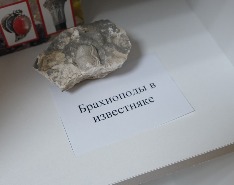 DSCF3078.JPG