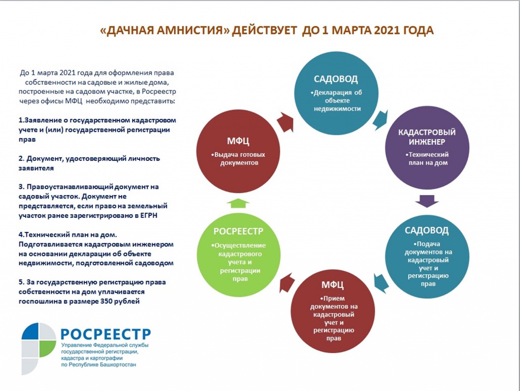 Дачная амнистия инфографика.jpg