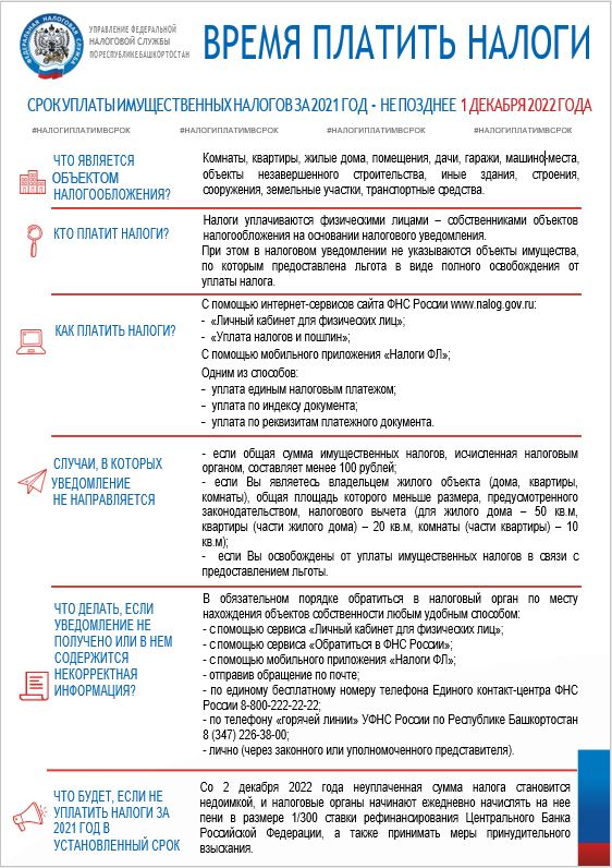Снимгок.JPG