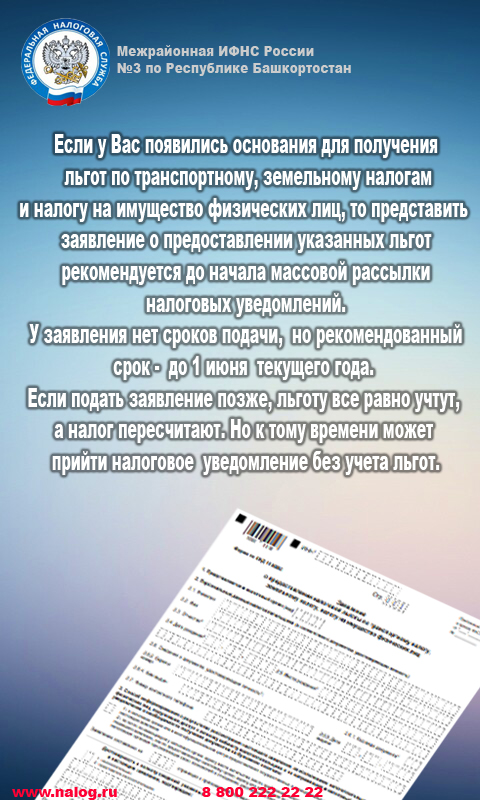 аапп.jpg
