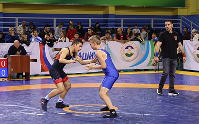 Соревнования по греко-римской борьбе